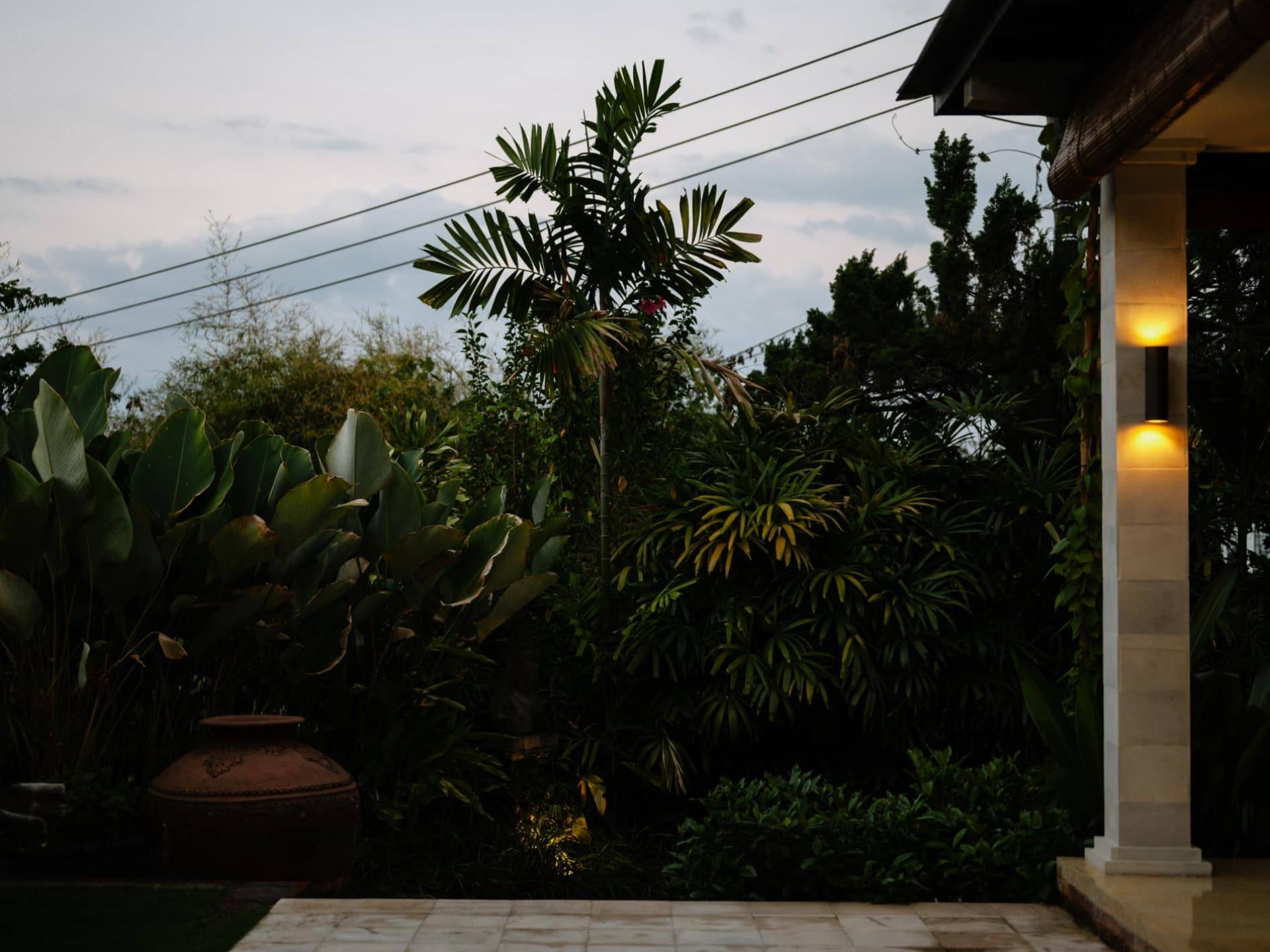 Secret Waterfalls Background