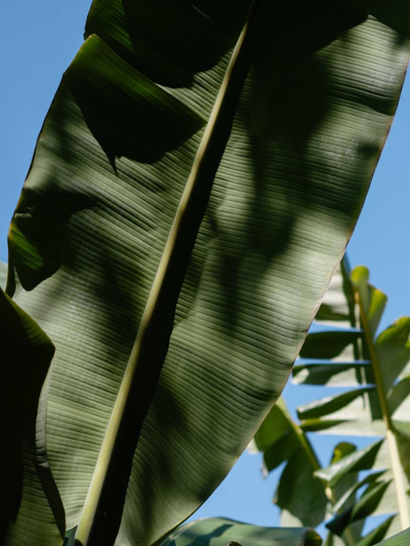 Secret Waterfalls Photo